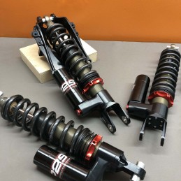Amortisseurs P2S 3 voies +...