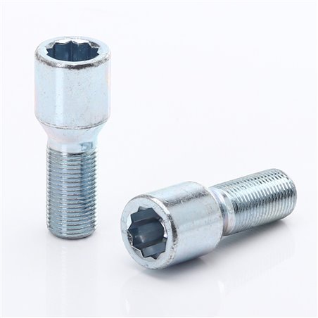 kit de 10 SILVER star bolts 32mm 12x1,5 + Key