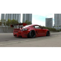 RocketBunny/Pandem Porsche...