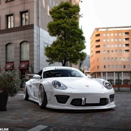 RocketBunny/Pandem Porsche...