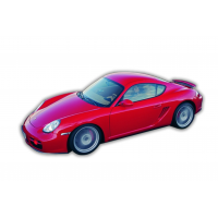 CAYMAN 987