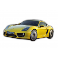 CAYMAN 981