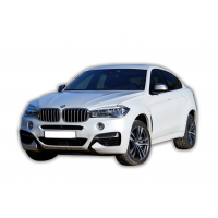 X6 (F16)